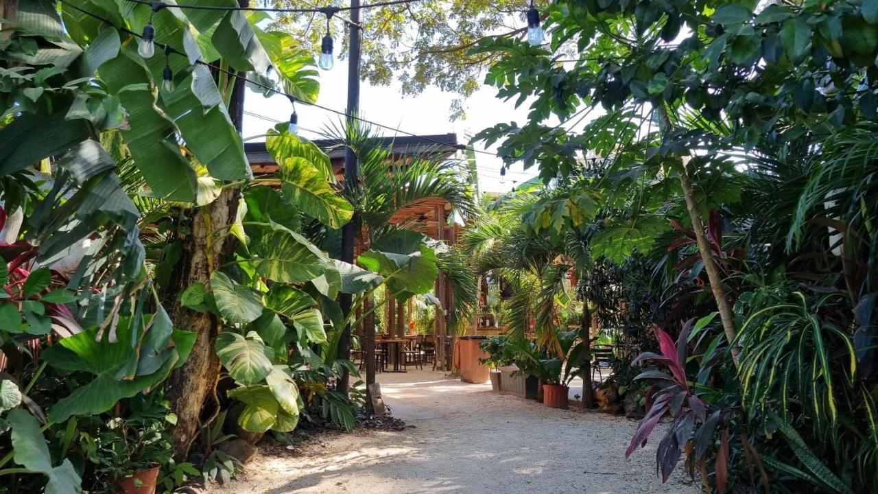 Zulu Surf Hotel Tamarindo Exterior foto